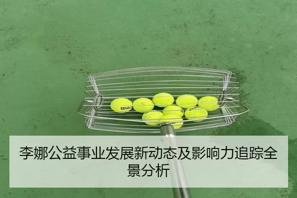 李娜公益事业发展新动态及影响力追踪全景分析